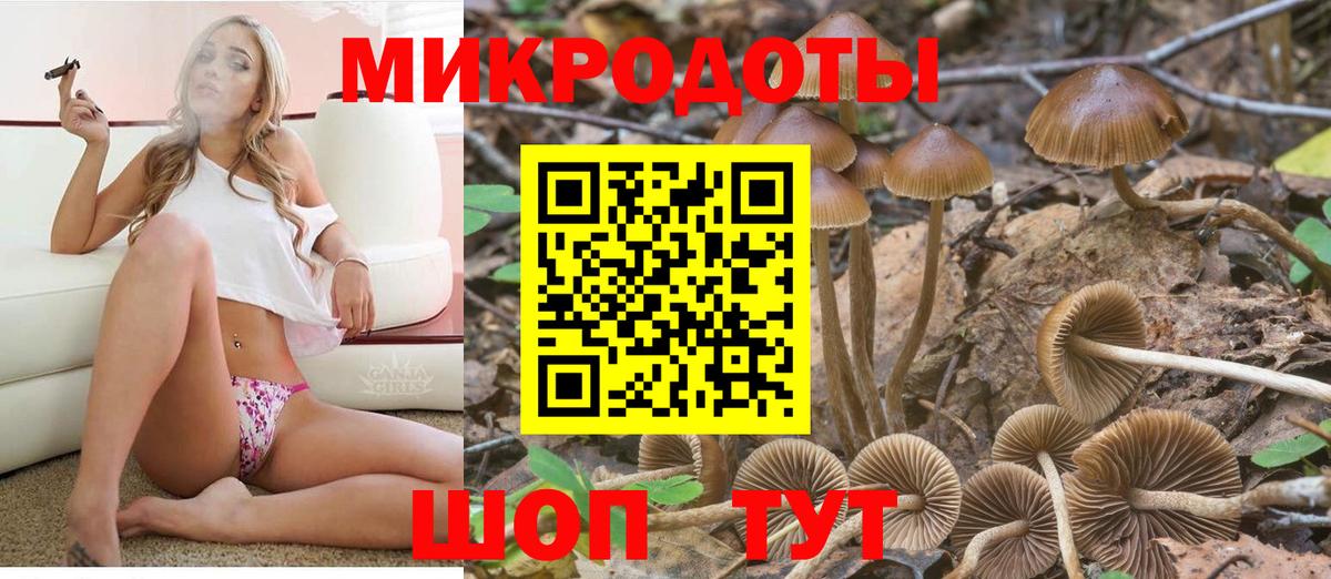Псилоцибиновые грибы MAGIC MUSHROOMS  Вход с VPN  Ярцево 